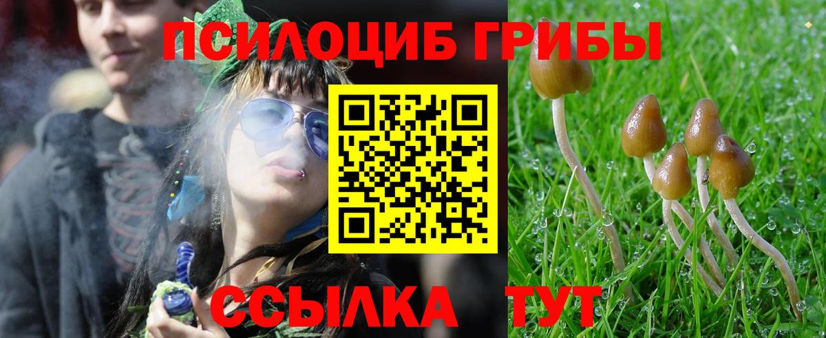 Галлюциногенные грибы мицелий  Вход с VPN  Иваново  Псилоцибиновые грибы прущие грибы 